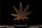 Marijuana 3D Optical Illusion Hologram Engraved USB Lamp